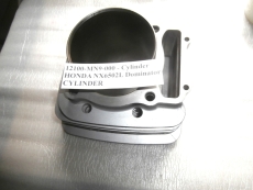Zylinder, NX650,12100mn9000
