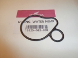 CRM,MBX,MTXR,NSR, Wasserpumpendichtung,19225GE2000