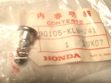 Bremsscheibenschraube 8 x 24, FES, NES,NSS,NTV,ST,VTR,90105KL8741 Bremsscheibenschraube 8 x 24, FES, NES,NSS,NTV,ST,VTR,90105KL8741