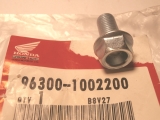 VTR1000F, Schraube 10 x 22 für Heckrahmen,963001002200