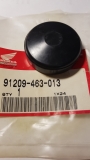 Blindstopfen Zylinderkopf GL1100 / 1200 / 1500,91209463013